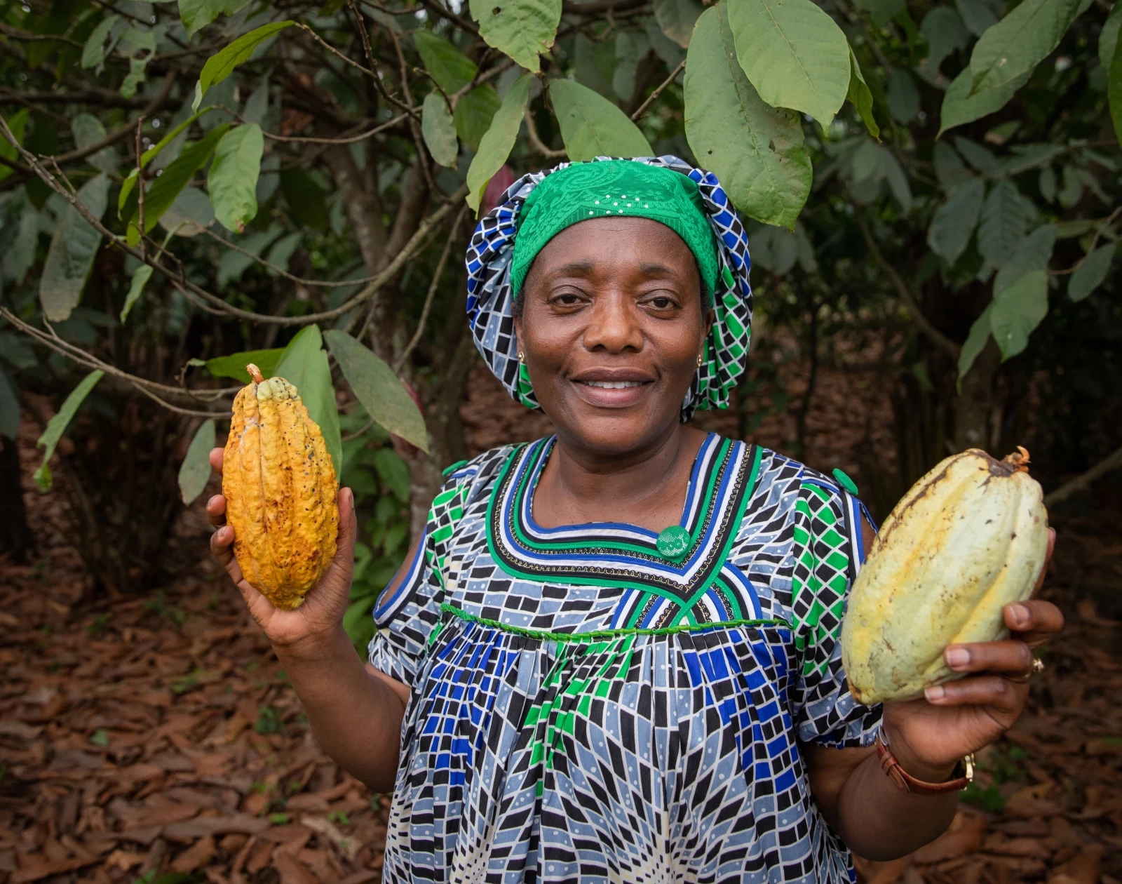 Cocoa farmer